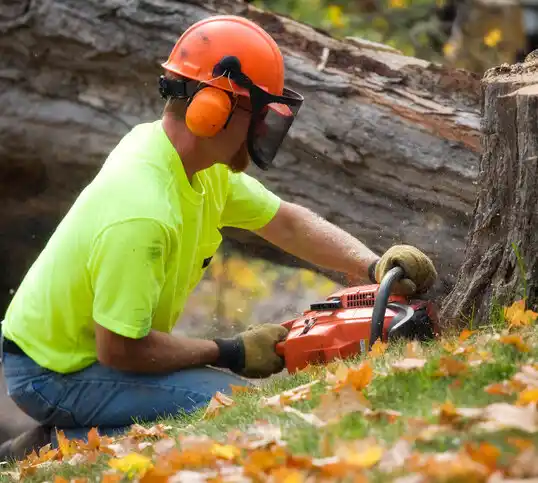 tree services Becker